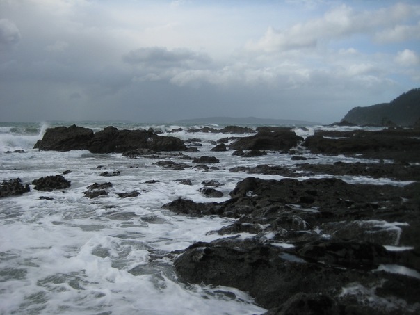 №103, Maksim Arshavsky, Auckland №103, Maksim Arshavsky, Auckland