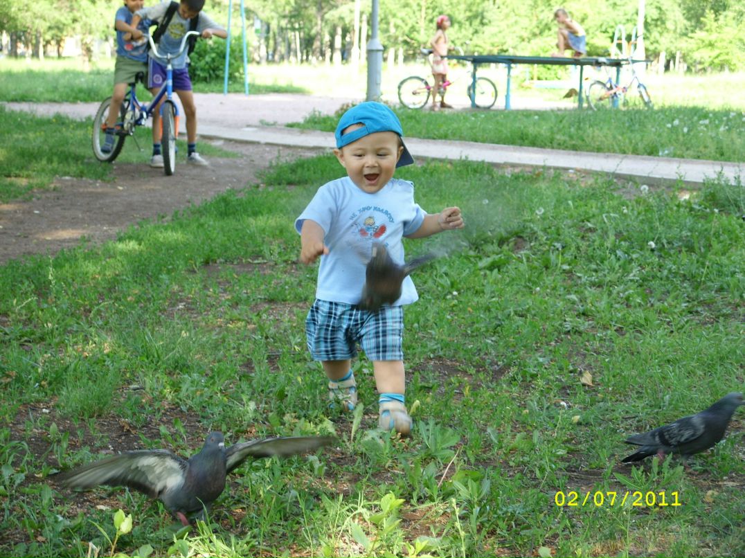 Лиля Амирова | 