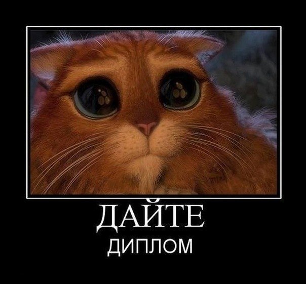 Олександр Швайка [sancho] | Warszawa