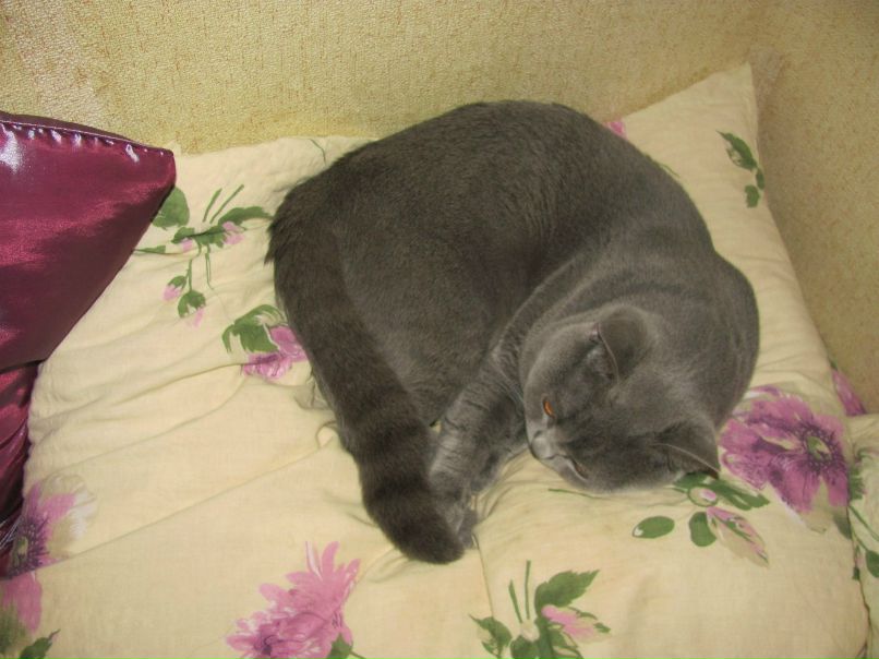 Тамара Шумило | Санкт-Петербург