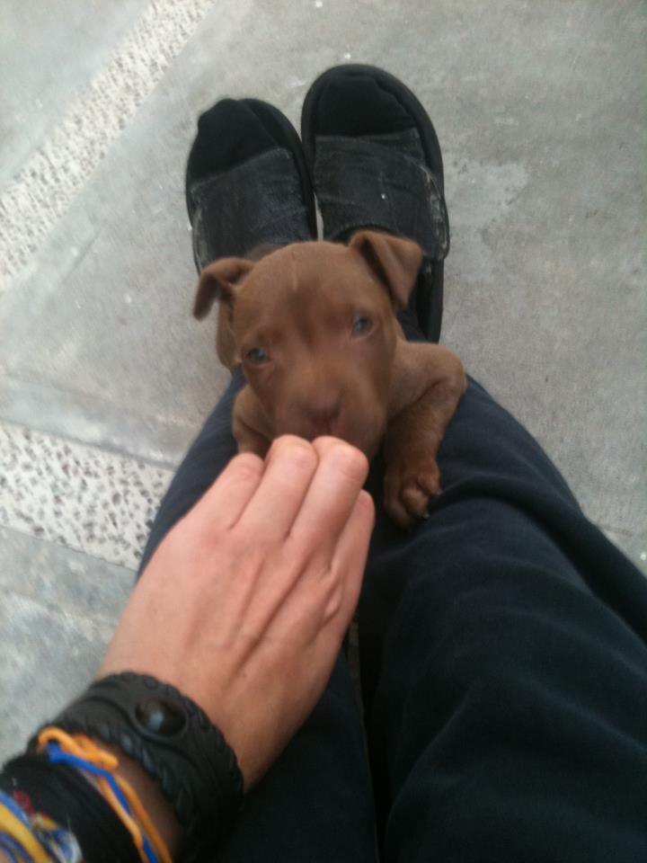 Emmanuel Alberto Kluzter | Monterrey