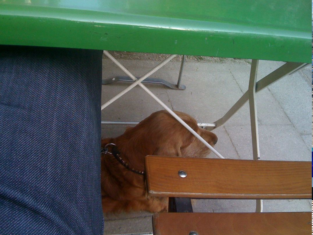 Sergei Semjonov | Санкт-Петербург