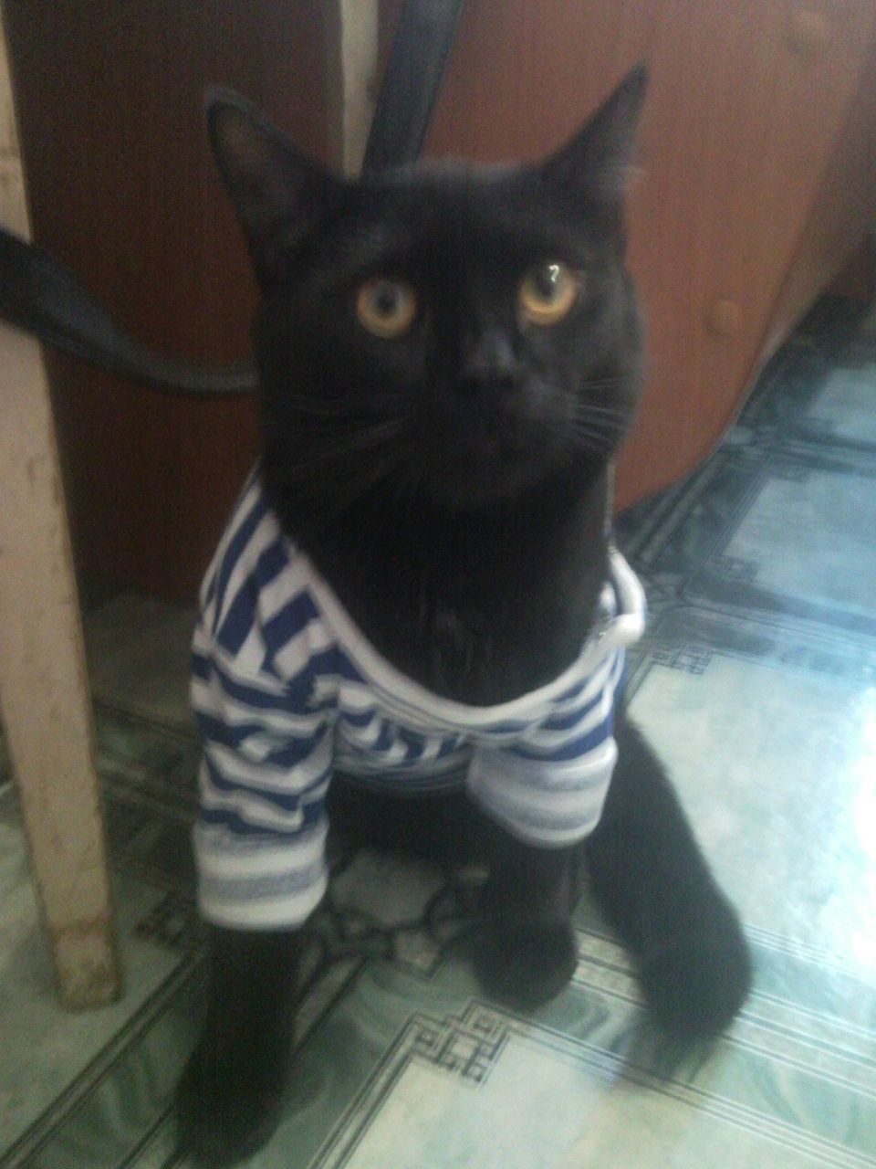 Надежда Сокерина | Сосногорск