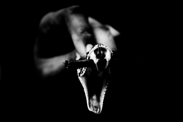 Лерра Строева | Киев