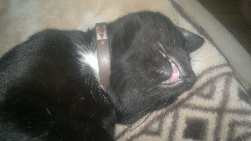 Радик Сингатулин | Уфа