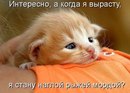 Фотография Каишевой Вероники