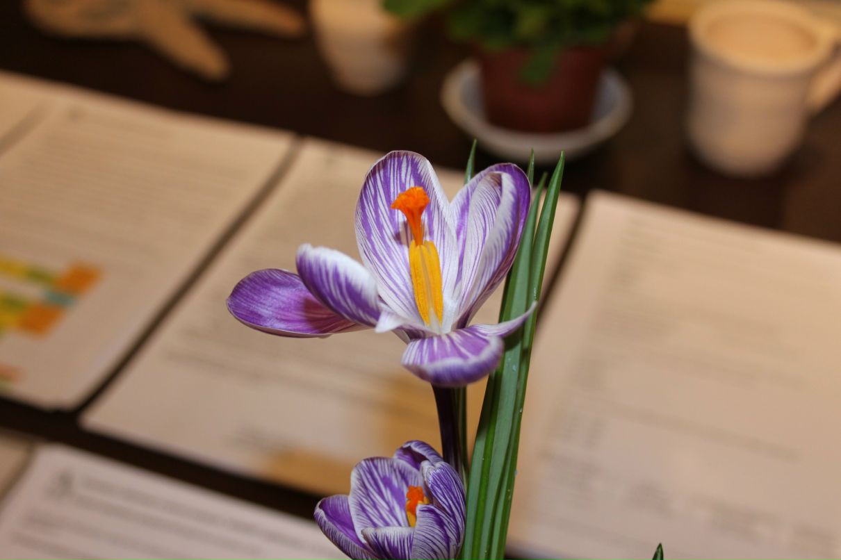 Евгения Липченко | 