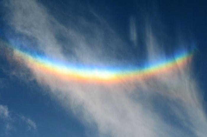 Aleksandr Freeman | Montréal