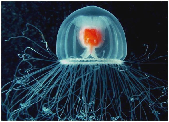 Anastasia Naumova | Севастополь