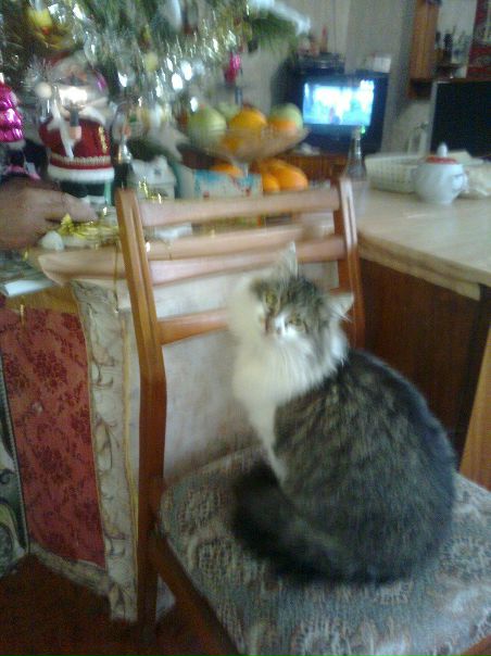 №4, Ксюша Труфанова №4, Ксюша Труфанова