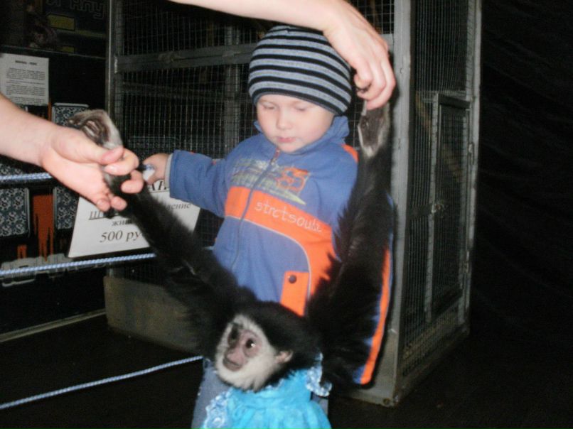 Оксана Логинова | Вологда