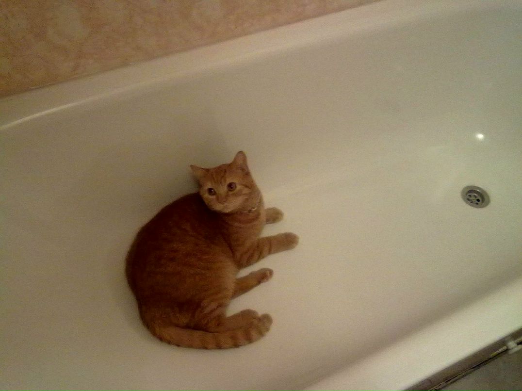 Надя Богачёва | Москва