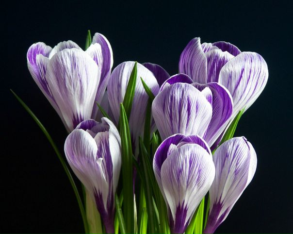 №47, Наташа Лесковец, 38 лет, Могилёв №47, Наташа Лесковец, 38 лет, Могилёв