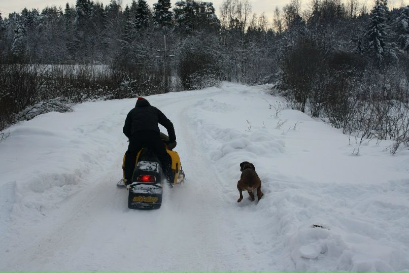 Дмитрий Старожитник | Сортавала