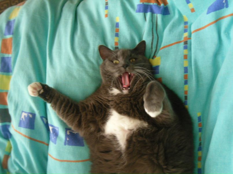 Анна Михеева | Мурманск