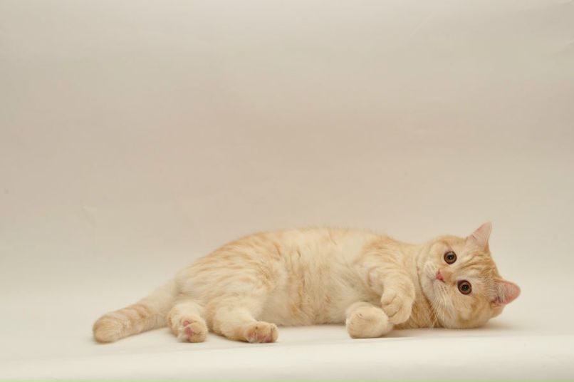 Юля Войченко | Санкт-Петербург