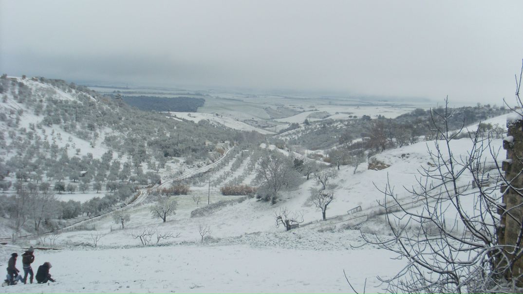 №37, Anastasiya Zimovnova, 31 год, Napoli №37, Anastasiya Zimovnova, 31 год, Napoli