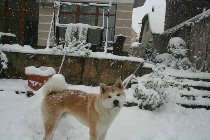 Максим Сабетьев Макс | Симферополь