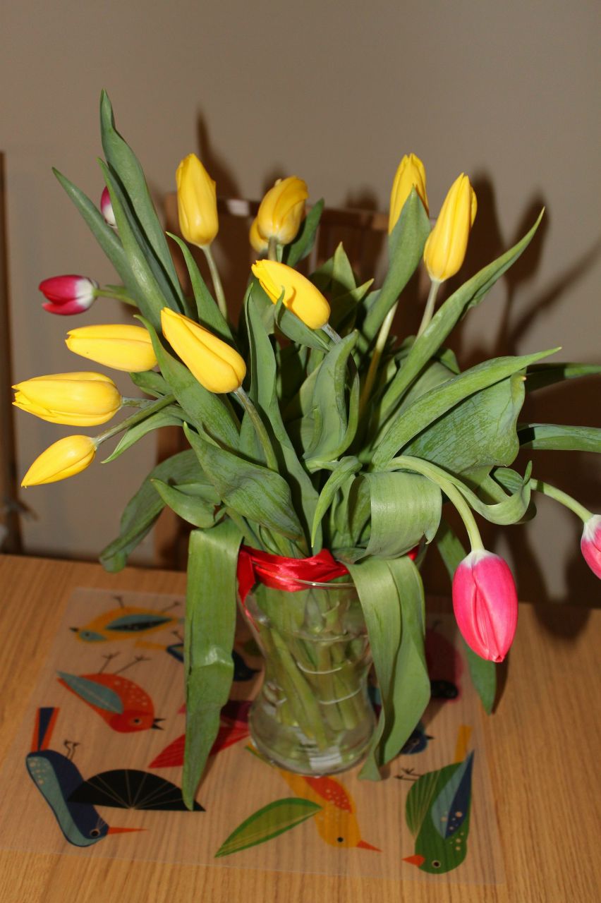 Анна Анисимова | Самара