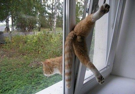 Арина Заднепровская | Тимашевск