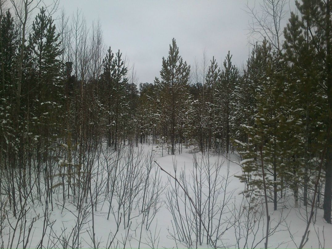 Александр Бугуртов | Стрежевой