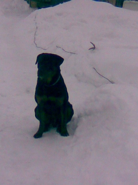 Александр Константинов | Йошкар-Ола