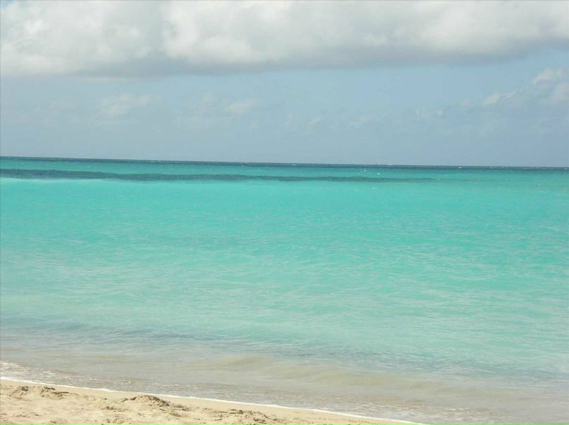 Percy Vanluchene | Kortrijk