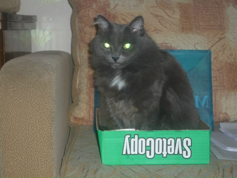 Светлана Овсяникова | Иваново