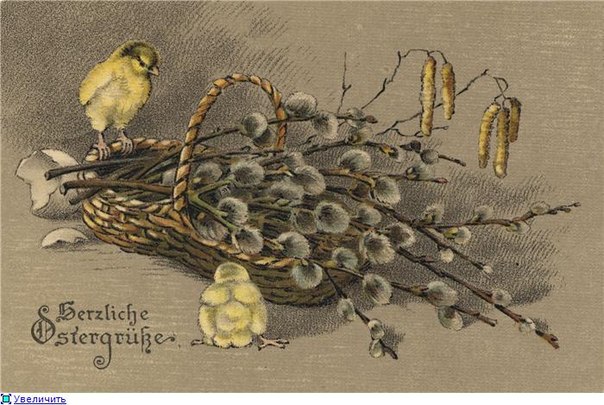 №103, Елена Бухара, 27 лет, Тюмень №103, Елена Бухара, 27 лет, Тюмень