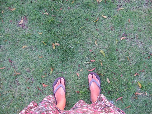 №25, Елена Шаменкова, Санкт-Петербург №25, Елена Шаменкова, Санкт-Петербург