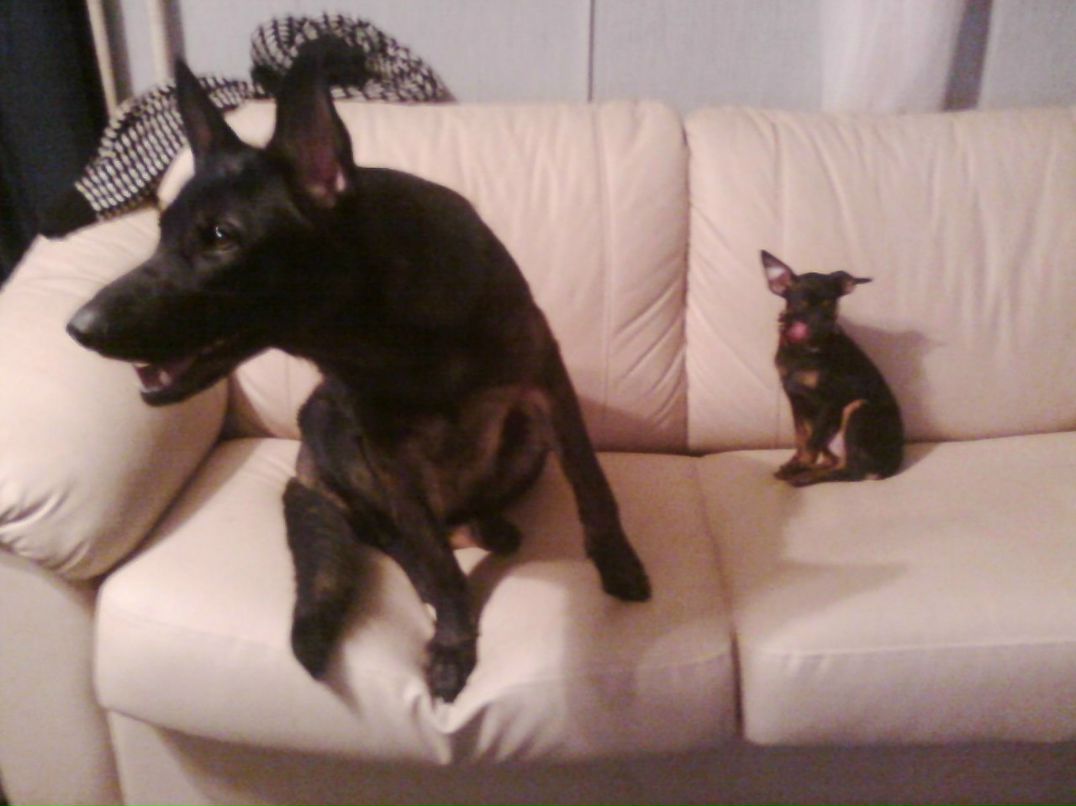 Иван Асеев °~•ஜ•~° | Москва