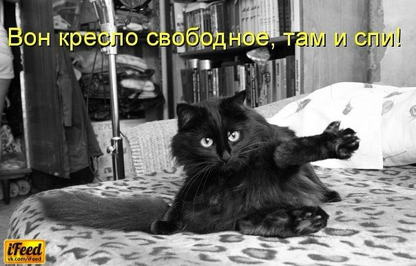 Валера Чкалов | Santo Domingo