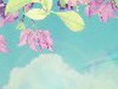 Екатерина Швидкая | Запрудня