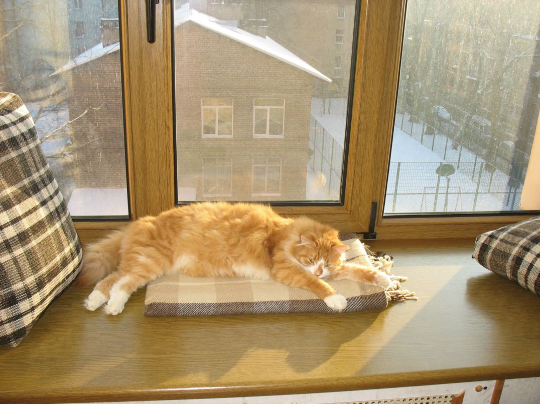 Виктория Смольская | Санкт-Петербург