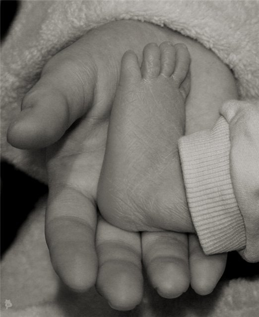 Елена Охрименко @Мышонок@ | Харьков