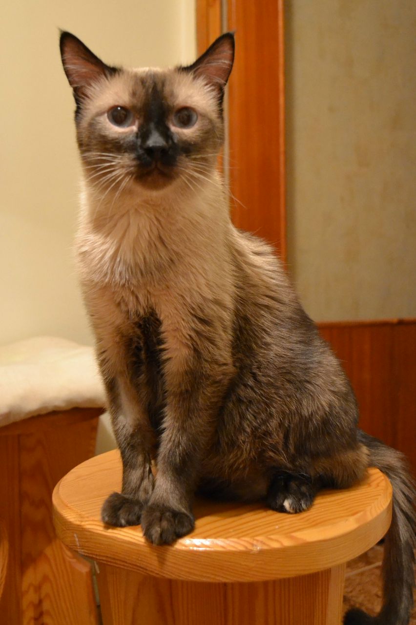 Наталья Агеева JCl | Новосибирск