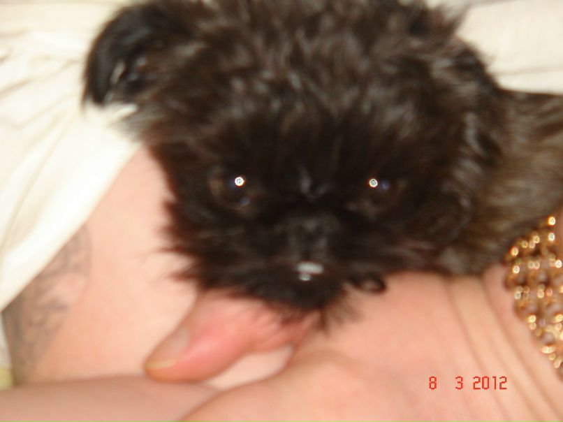 Катенька Банышева | Мурманск