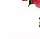 Евгения Щёголева | Москва