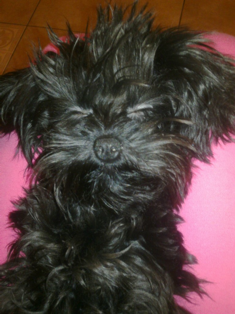 Лариса Дроздова | Москва