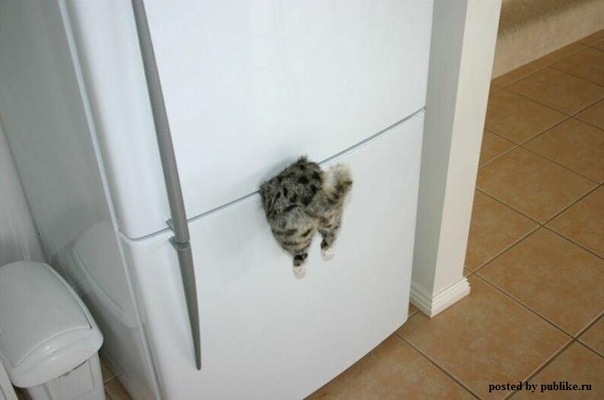 №103, Денис Океев, 40 лет, Севастополь №103, Денис Океев, 40 лет, Севастополь