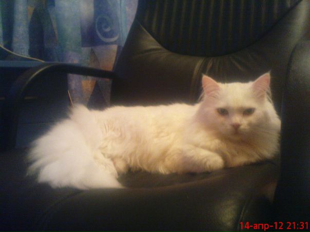 №3, Юлия Сорокина №3, Юлия Сорокина