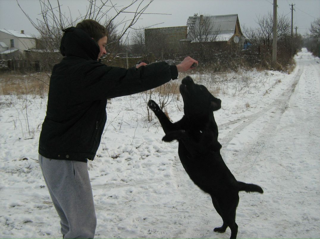 Витя Твик | Севастополь