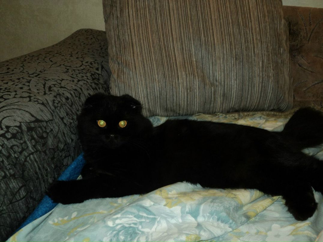 Светлана Юсова | Тверь