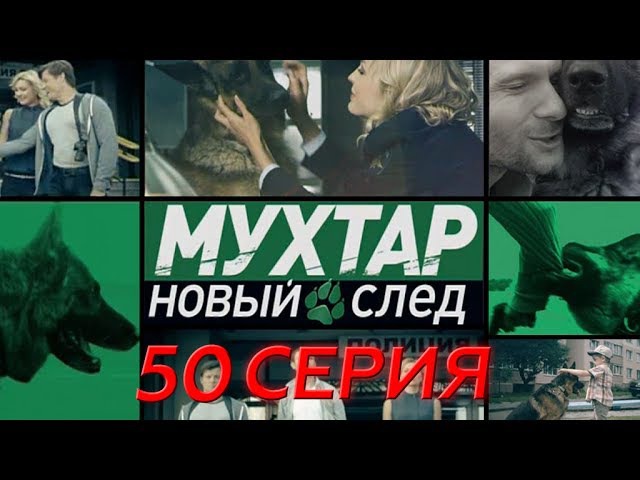 "Мухтар. Новый след". 50 серия. "Испуганная кошка"