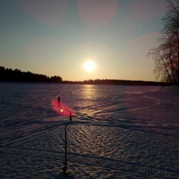 Александр Цветков