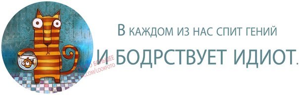 Семейное Счастье Курск Интернет Магазин Каталог Товаров