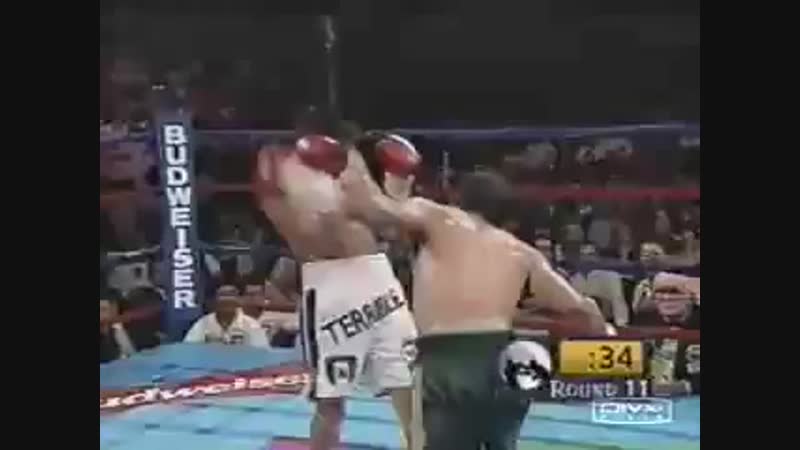 Erik Morales knocking out