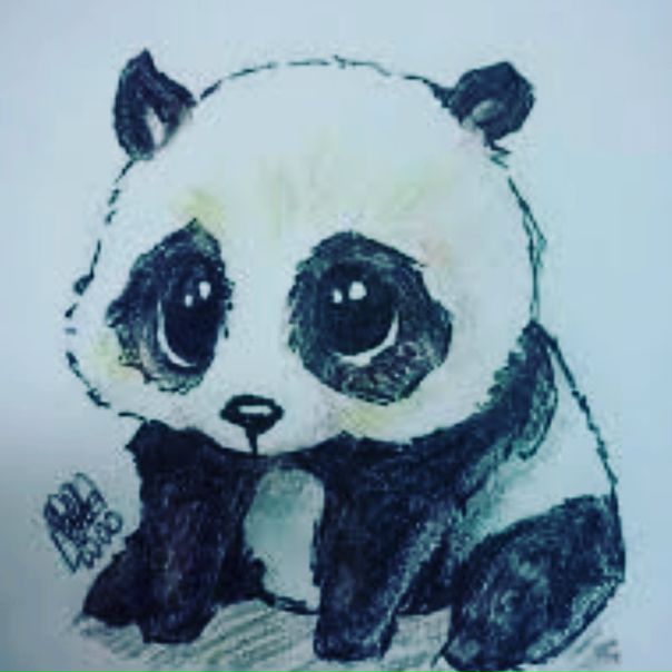 Влад Федів, Украина, Тернополь