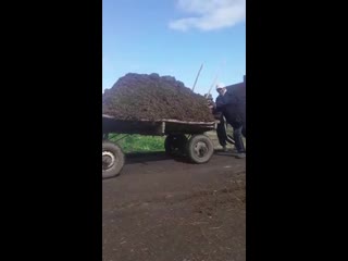 Тирес ташыйлар