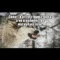 Александр Русинов